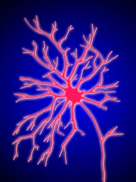 Computer artwork of a multipolar nerve cell Stock Illustration