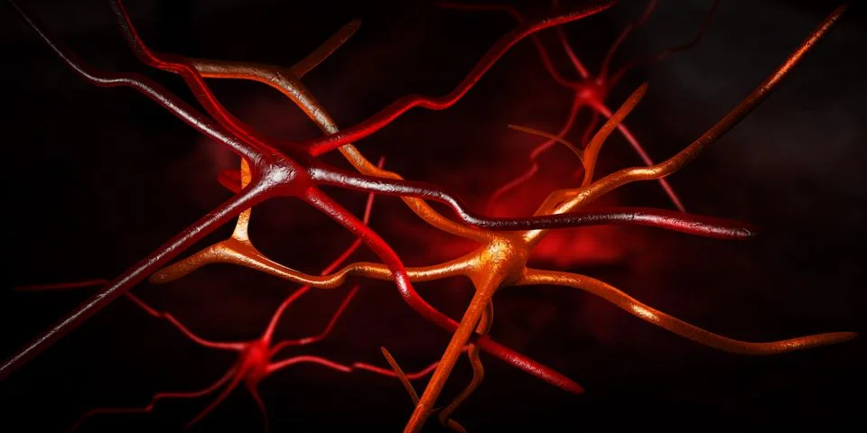 Computer artwork of nerve cells Stock Illustration