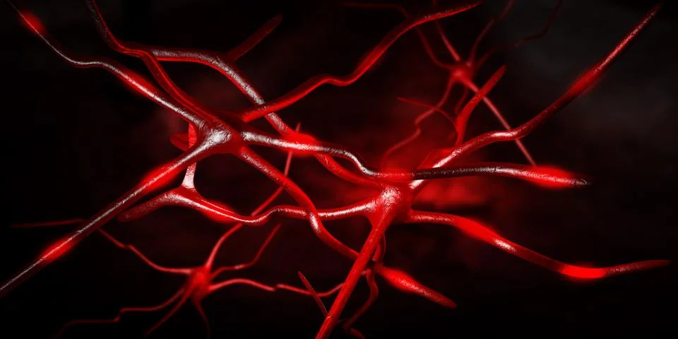 Computer artwork of nerve cells Stock Illustration