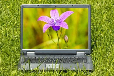 Computer with beautiful flower  on screen Stock Photos