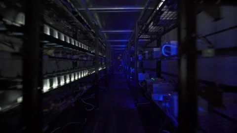 Computer for Bitcoin mining. Cryptocurrency computer with many peripheral slots Stock Footage 94815714