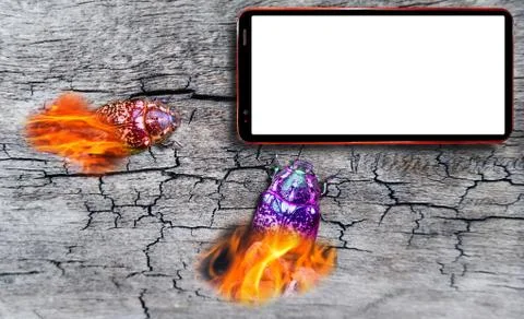 Computer bug attack on cell phone with blank white screen on cracked wooden d Stock Photos