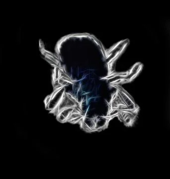 Computer bug. Computer illustration. Stock Photos