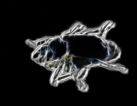 Computer bug. Computer illustration. Foto stock