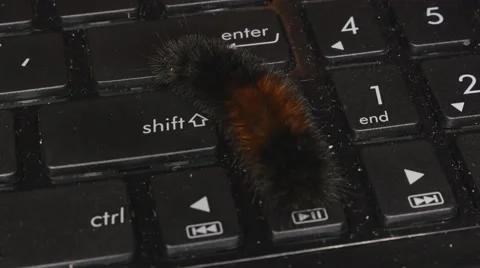 Computer Bug 스톡 동영상 55112378