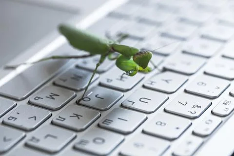 Computer bug metaphor Foto stock