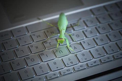 Computer bug or virus metaphor, green mantis Stockfoto's