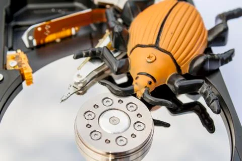 Computer bug Stock Photos