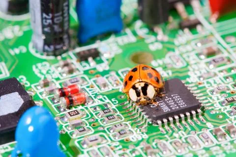 Computer bug Stock Photos