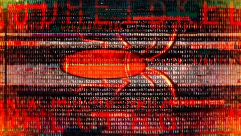 Computer bug, system corrupt, pc infection, failure, hacking, malware, spyware Stock Footage 113737371