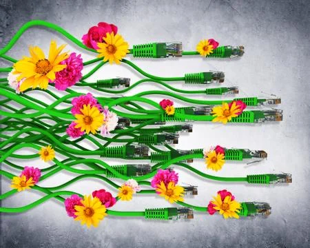 Computer cables with flowers Illustrazione stock