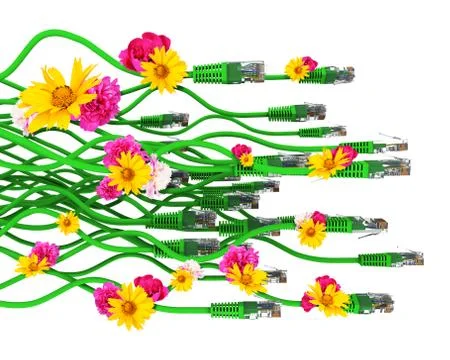 Computer cables with flowers 스톡 일러스트