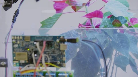 Computer Circuit Boards Digital Device Cables Stock Footage 117161705