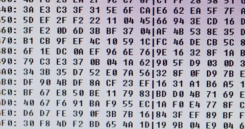 Computer code in hexadecimal Stock Footage 142169609