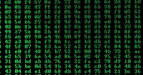 Computer code in hexadecimal on screen Stock Footage 153056044