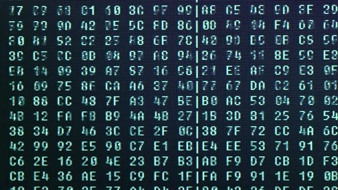 Computer code in hexadecimal on screen Stock Footage 162744773