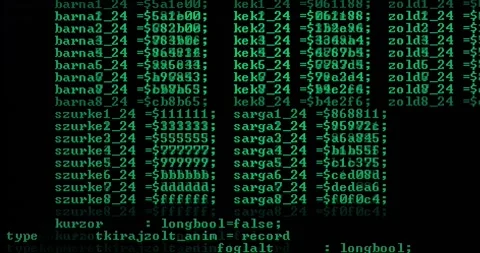 Computer code running on screen Stock Footage 318675136
