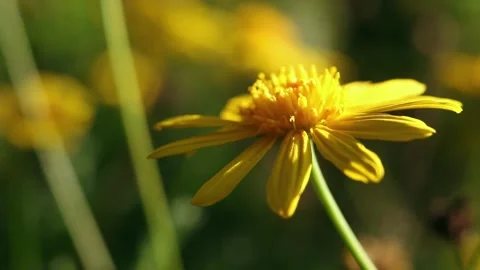 Computer Codes Stock Footage 303931786