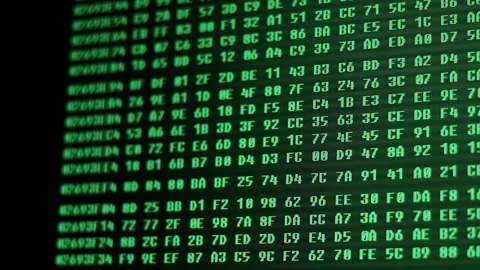 Computer Codes Stock Footage 303934621