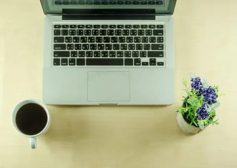 Computer coffee flower Stock Photos