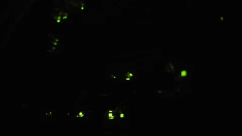 Computer communication technology counter 스톡 동영상 73460214