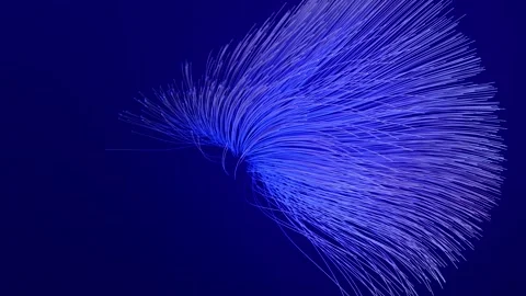 Computer data flow background big data network technology wave Stock Footage 252268559