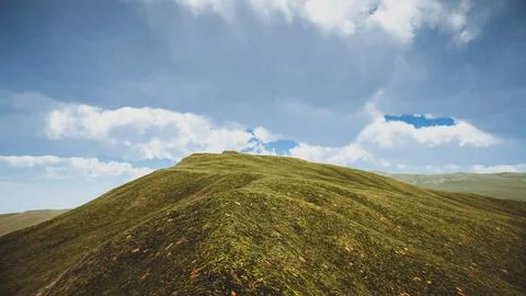 Computer designed natural landscape with forest environment 3D render Stock Illustration