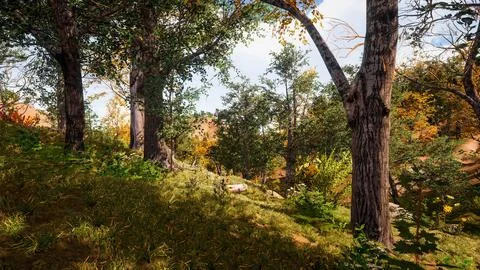 Computer designed natural landscape with forest environment 3D render Illustrazione stock