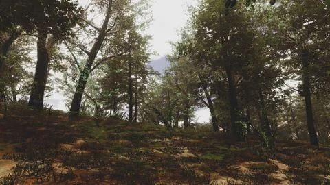 Computer designed natural landscape with forest environment 3D render Stock Illustration