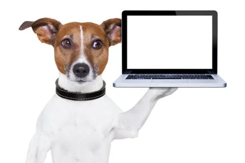 Computer dog Illustrazione stock