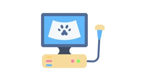 A computer with a dog's paw resting on the keyboard, suggesting a playful i.. Stock Footage 332292544