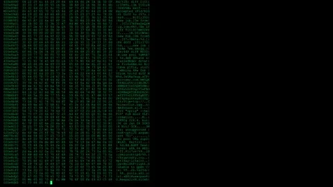 Computer Error Screen, Disk Error Codes Animation Stock Footage 274420073