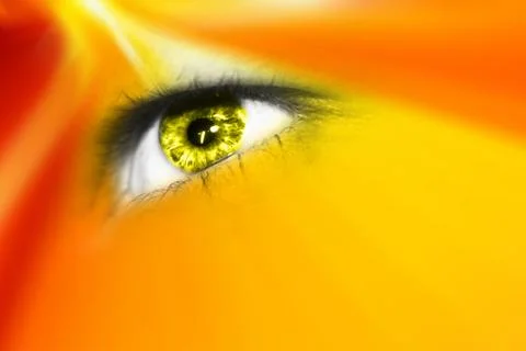 Computer eye Illustrazione stock