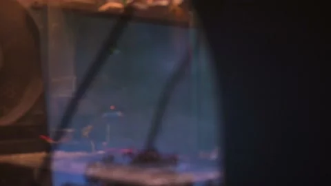 Computer fan working inside a computer. Stock Footage 171575197