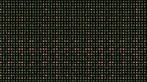 Computer Stock Footage 335753680