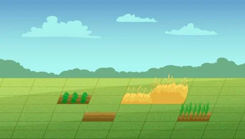 Computer game haystack and vegetable patches. Illustrazione stock