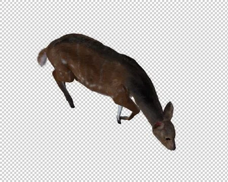 Computer generated 3d illustration of a deer Stock Illustration