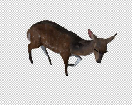 Computer generated 3d illustration of a deer Stock Illustration