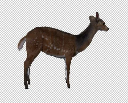 Computer generated 3d illustration of a deer Stock Illustration