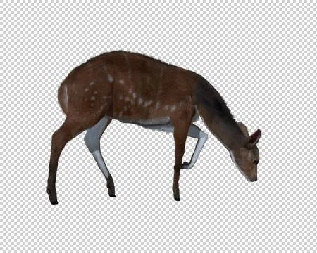 Computer generated 3d illustration of a deer Stock Illustration
