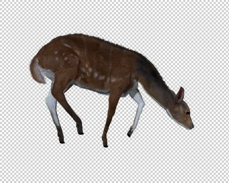 Computer generated 3d illustration of a deer Stock Illustration