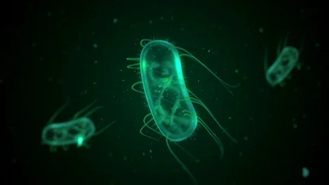 Computer generated E. Coli bacteria floating Stock Footage 115271550