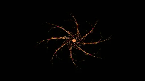 Computer generated fractal artwork for creative design, art and entertainment Stock Footage 53808431