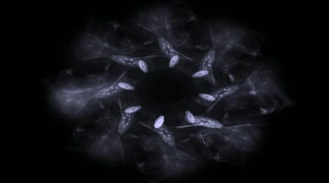 Computer generated fractal artwork for creative design, art and entertainment Stock Footage 61241874