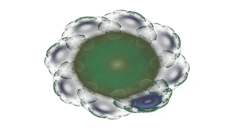 Computer Generated Fractal Artwork For Creative Design, Art And Entertainment Video stock 96058933