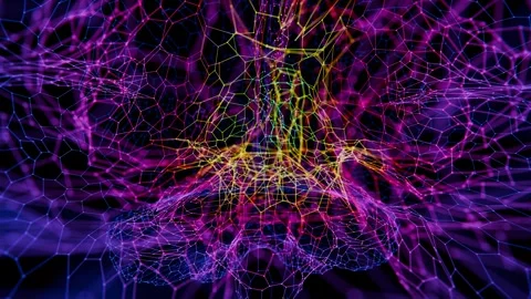 A computer generated image of a brain Stock Footage 309945537