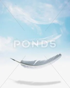 Computer generated image of feathers floating to ground Stock Illustration