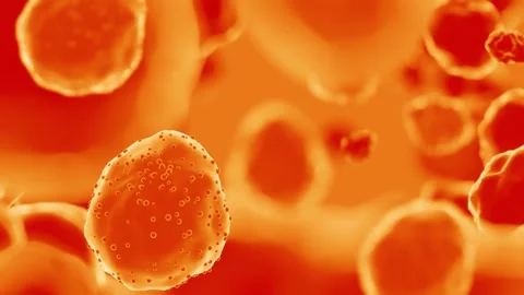 A computer generated microscopic view of the Hanta Virus Stock Footage 339375338