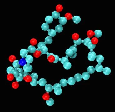 Computer generated molecular model of Sirolimus, also known as rapamycin Stock Illustration