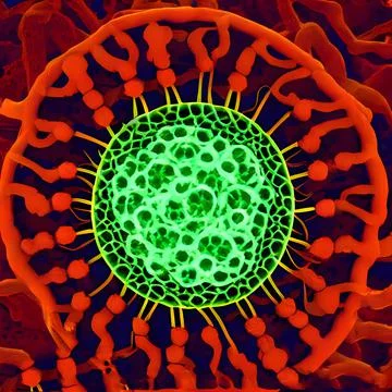 Computer generated multiple virus bacteria floating in a cellular environment Stock Illustration